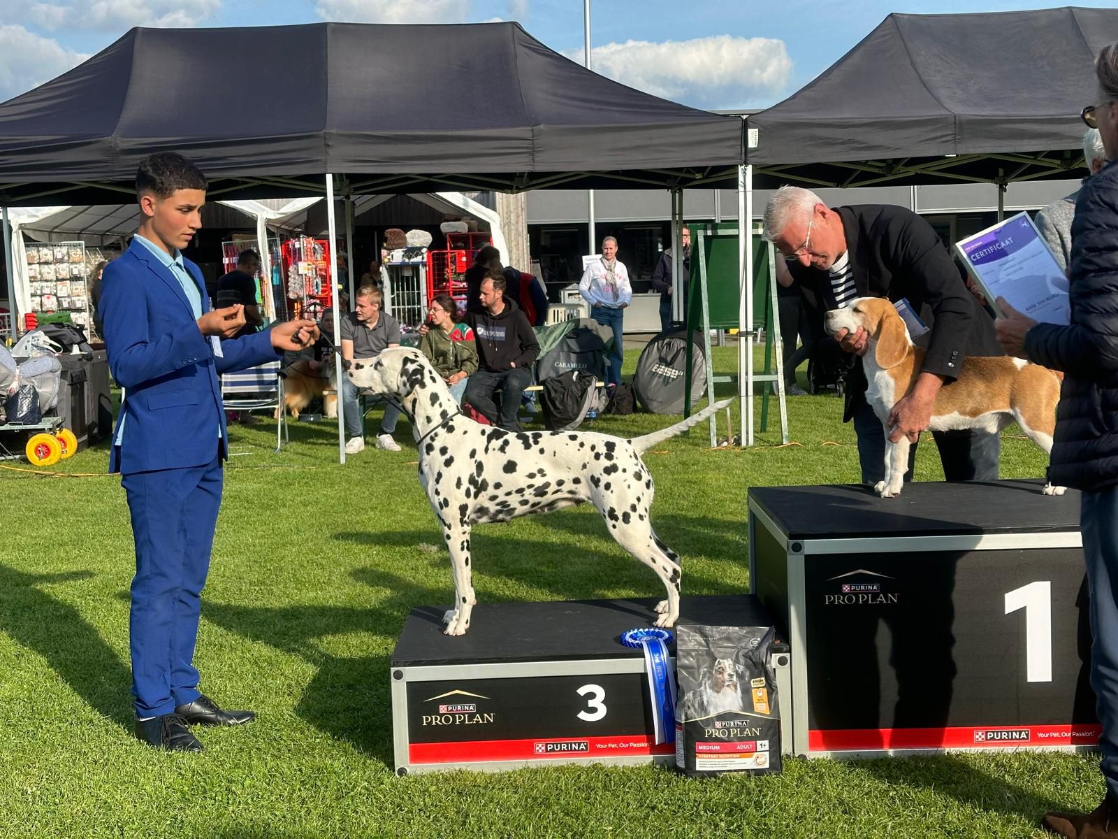 CAC OUTDOOR DOGSHOW ZWOLLE 14-09-2024