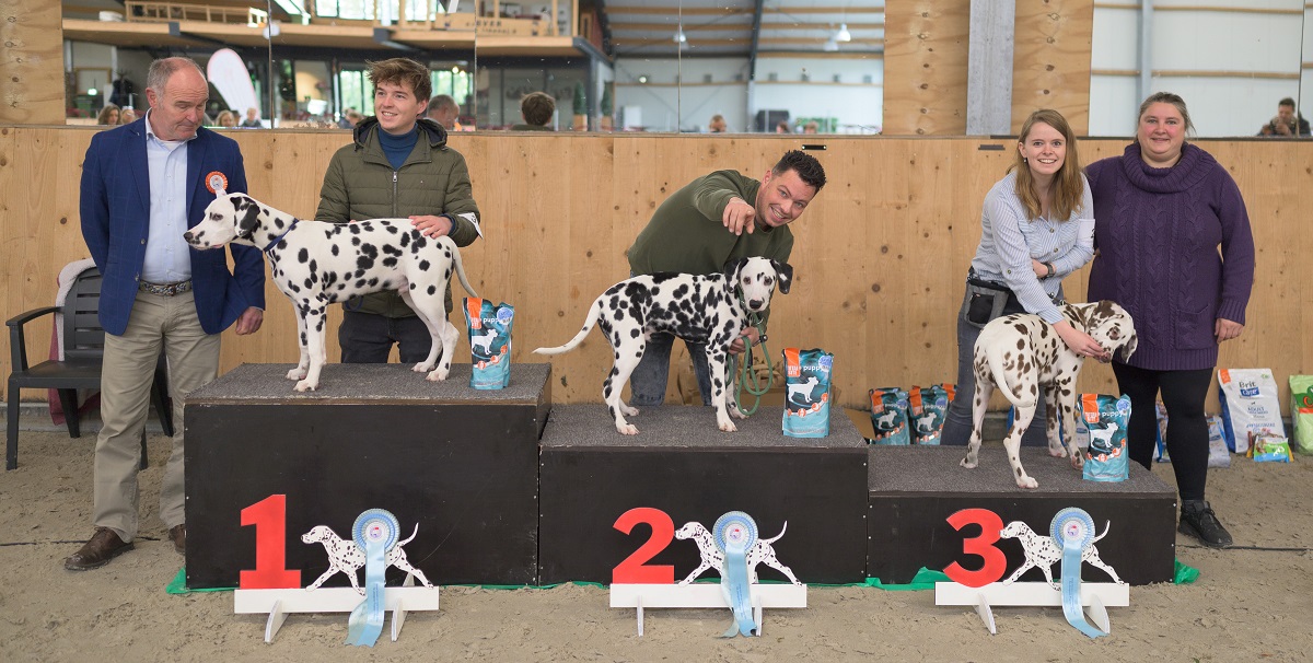 Jonge honden en veteranendag 2023