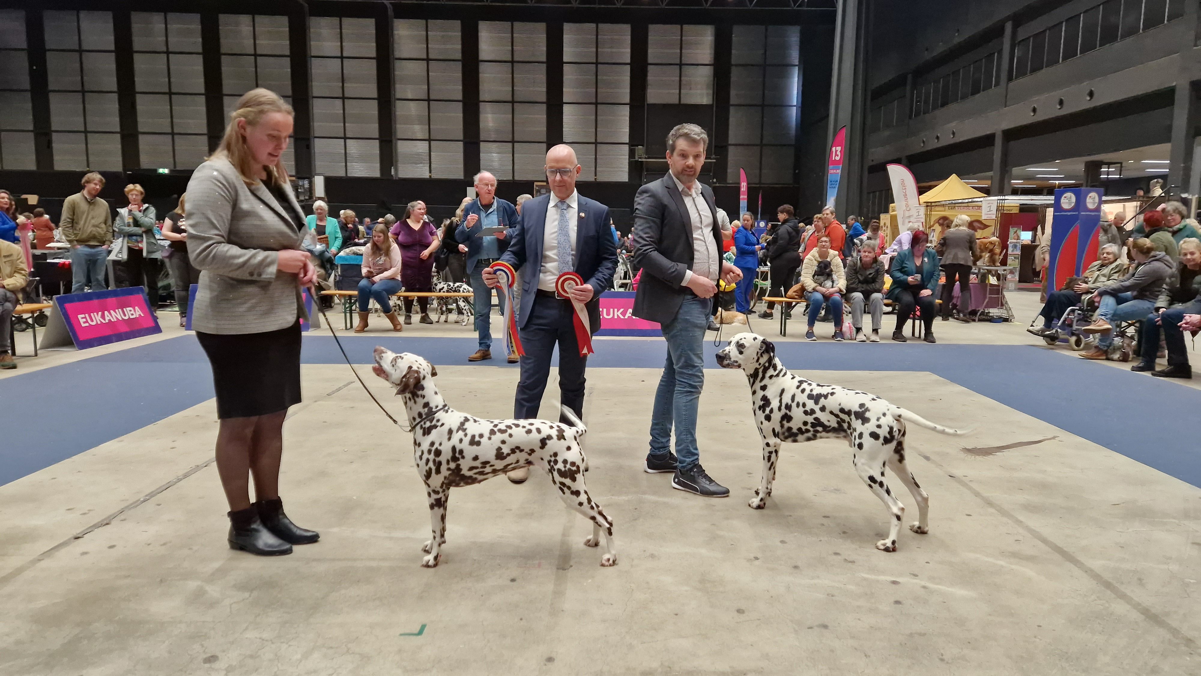 CAC/CACIB MARTINIDOGSHOW GRONINGEN - HOLLAND CUP 02-03-2024